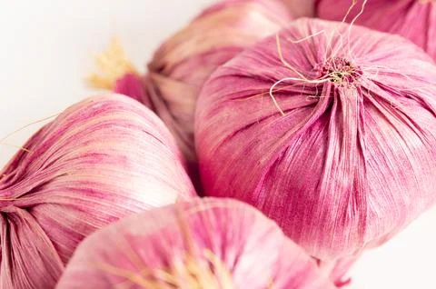 Red garlic close-up on a light-colored background Stock Photos