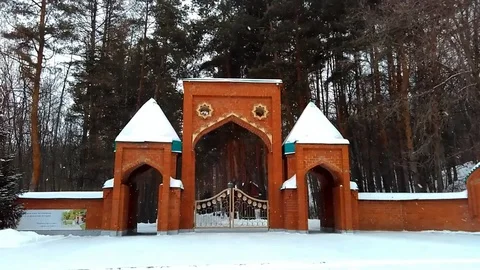 Red gate 스톡 동영상 85397470