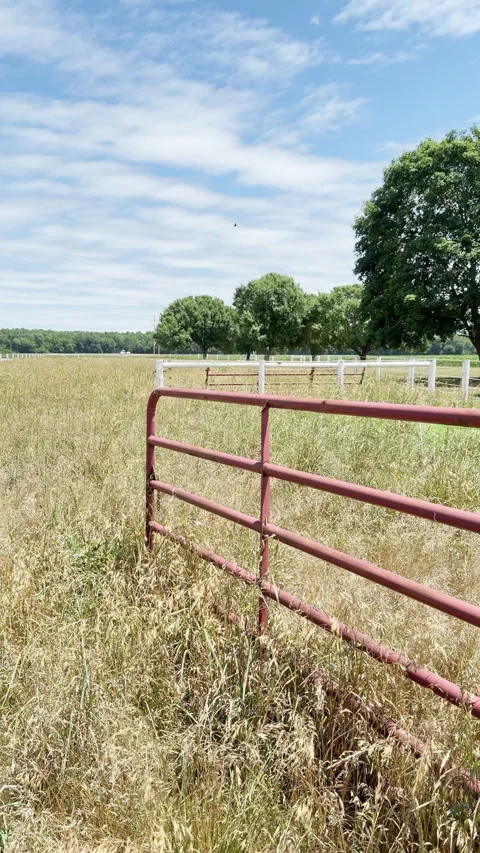Red gate stands a entry to horse pasture in tall, dry grass. Vertical Stockbeeldmateriaal 337579887