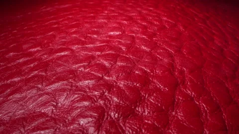 Red genuine leather texture close up Video stock 194667283
