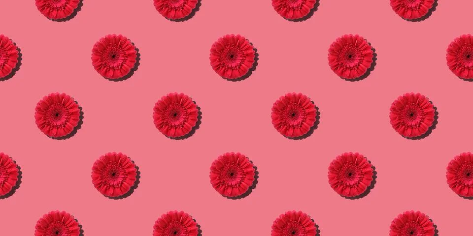 Red gerbera daisies seamless pattern Foto stock