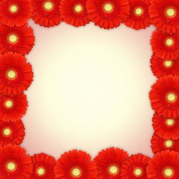 Red gerbera daisy frame Stock Illustration