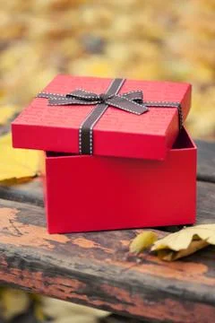 Red gift box with bow on bench in autumn park Free Stock Photos