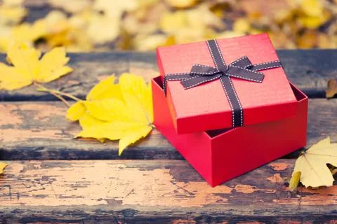 Red gift box with bow on bench in autumn park Stock Photos
