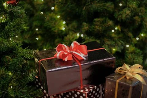 A red gift box on Christmas tree Stock Photos