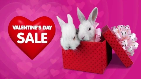 Red gift box with romantic couple of rabbits, Valentines day sale concept Video stock 71471190