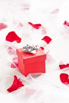 Red gift box with silver bow on wedding veil Foto stock