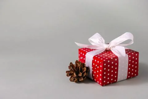 Red gift box with white bow and pine cone Stock Photos