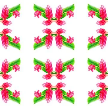 Red ginger flower Illustrazione stock