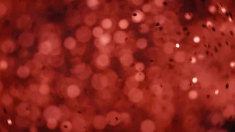 Red glitter particles exploding in slow motion Stock Footage 293101577