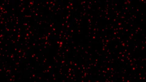 Red glittering flowing background Stock-Footage 283856732
