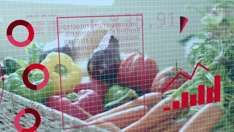 Red globe appearing, HUD animating over woven produce basket, charts rising, Stock Footage 334768569