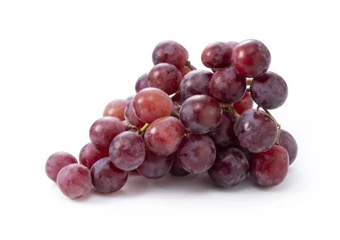 Red Globe on a white background Stock Photos