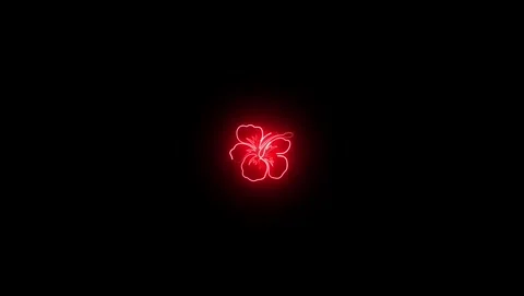 Red glowing abstract floral shape on black background Stock Footage 318213887