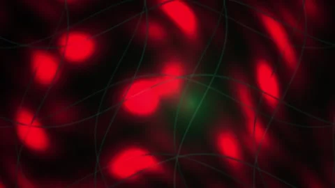 Red glowing cells under microscope. 스톡 동영상 337517682