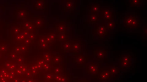 Red glowing dots on dark abstract background Stock Footage 309920692