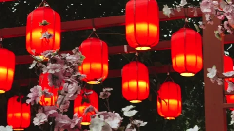 Red Glowing Lanterns with Cherry Blossom at Buddhist Temple courtyard Stock-Footage 340118761