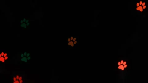 Red glowing pet paw prints appear randomly across a dark black background Stock Footage 322114662
