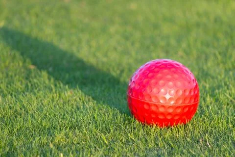 Red golf ball lying on grass Stock Photos