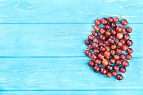 Red gooseberries Stock Photos