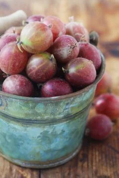 Red Gooseberries Stock Photos