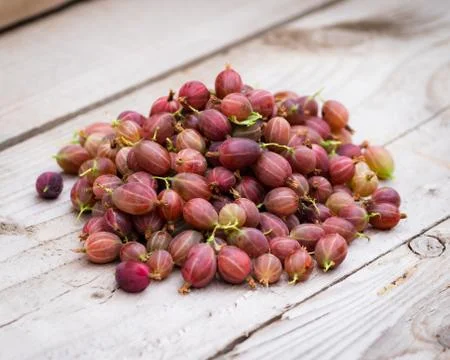 Red Gooseberries Stock Photos