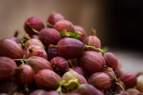 Red Gooseberries Stock Photos