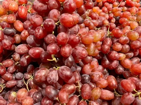 Red grab  background- (2) Fotos Stock