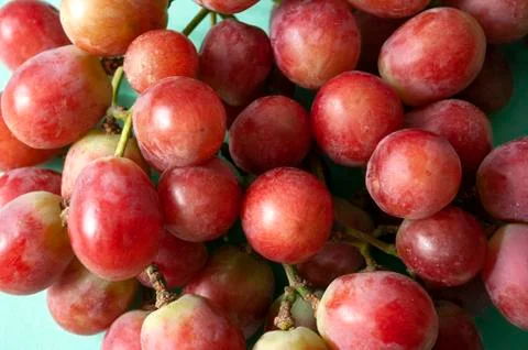 Red grape bunch close up, fresh fruit photo. Stock Photos