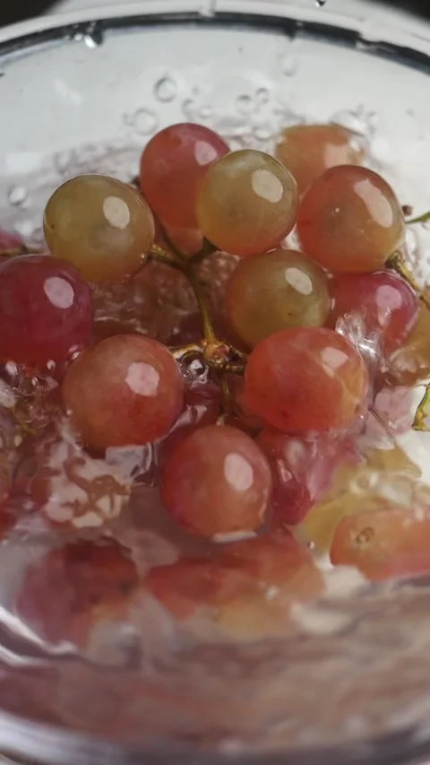 Red grape falling a bowl of water Stock Footage 310978632