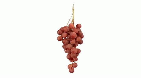 RED GRAPE Stockbeeldmateriaal 14834323