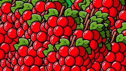 Red Grape Fruit Transition on Green Screen – Closing and Opening Animation Stock Footage 320204229