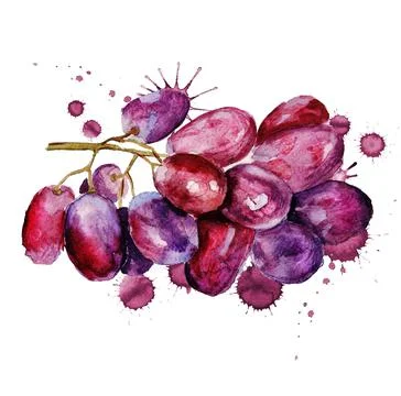 Red grape grunge Stock Illustration