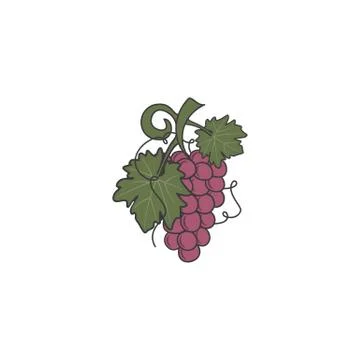Red Grape icon. Cute flat colors design. Friut symbol for logo, label or badge Stock Illustration