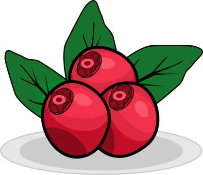 Red Grape Stock Illustration