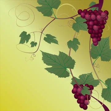 Red grape Stock Illustration