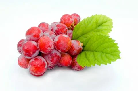 Red grape isolated on white background Stock Photos