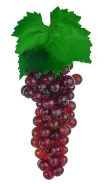 Red grape isolated on white background Stock Photos