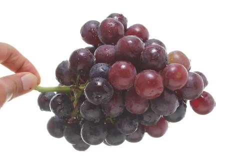 Red grape isolated on white background Stock Photos