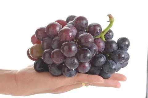 Red grape isolated on white background Stock Photos