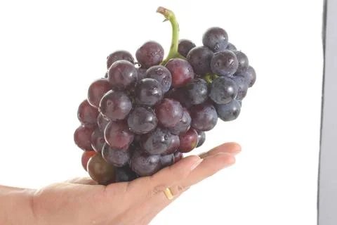 Red grape isolated on white background Stock Photos