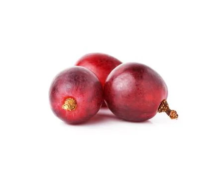 Red grape isolated on white background Stock Photos