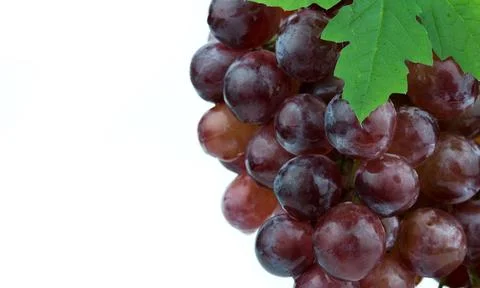 Red grape isolated on white background 스톡 사진