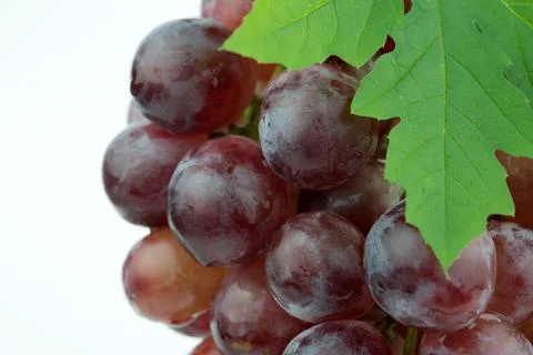 Red grape isolated on white background Stock Photos