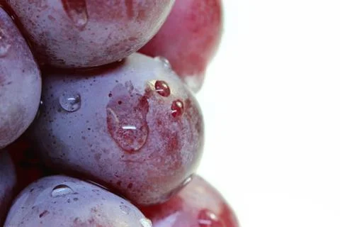 Red grape isolated on white. Stock Photos