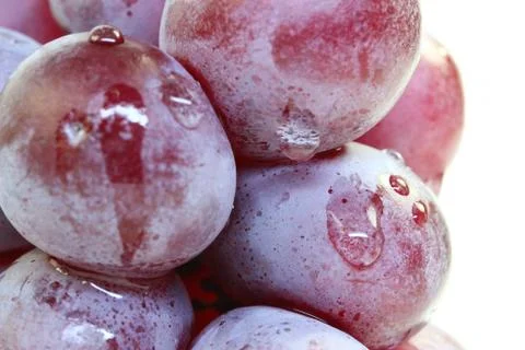 Red grape isolated on white. Stock Photos