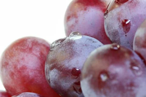 Red grape isolated on white. Stock Photos