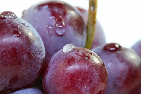 Red grape isolated on white. Stock Photos