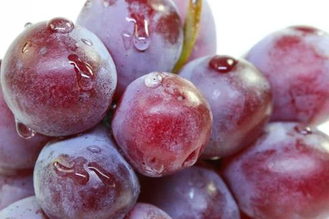 Red grape isolated on white. Stock Photos
