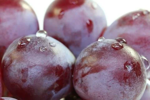 Red grape isolated on white. Stock Photos
